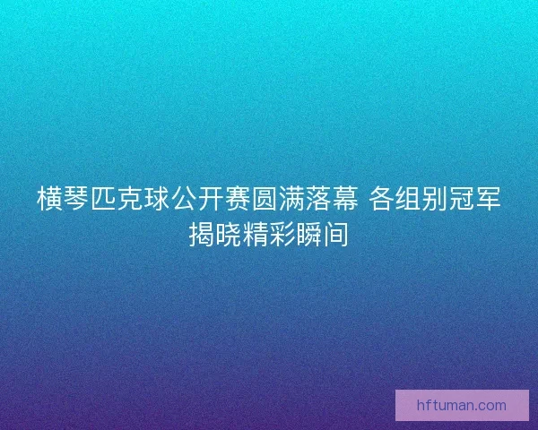 横琴匹克球公开赛圆满落幕 各组别冠军揭晓精彩瞬间